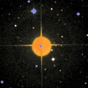 Meet your Posher, Marley